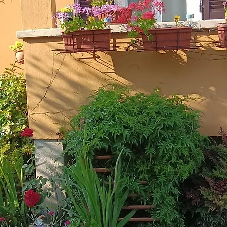 Apartment Casa Fiori E Verbania